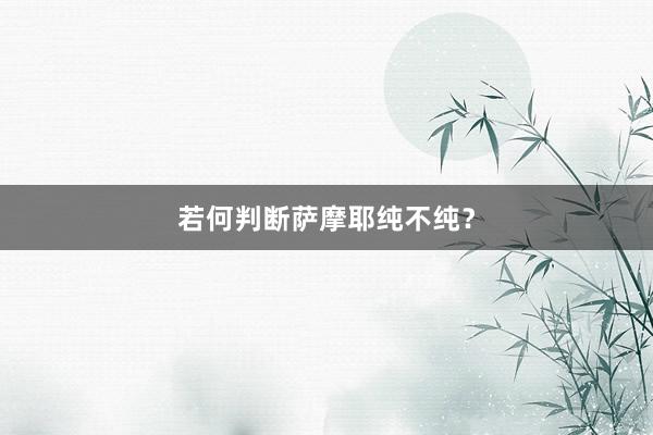 若何判断萨摩耶纯不纯？