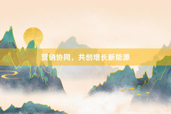 营销协同，共创增长新能源